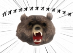 kuma.jpg