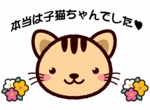 neko.jpg