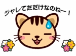 neko2.jpg